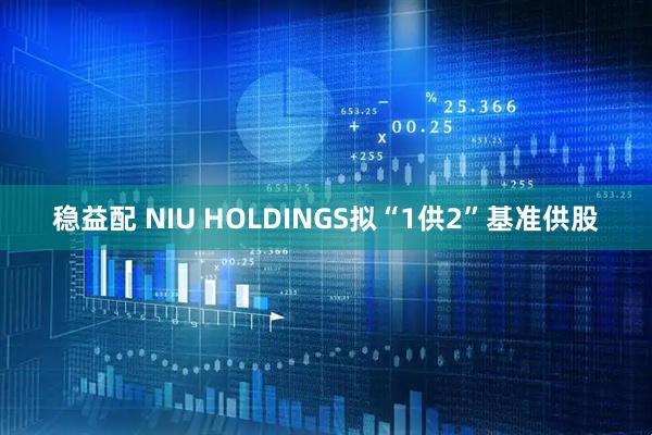 稳益配 NIU HOLDINGS拟“1供2”基准供股