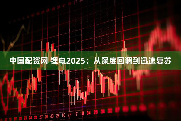 中国配资网 锂电2025：从深度回调到迅速复苏