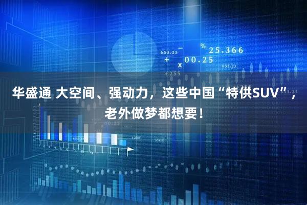 华盛通 大空间、强动力，这些中国“特供SUV”，老外做梦都想要！