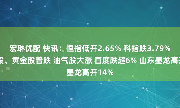 宏琳优配 快讯：恒指低开2.65% 科指跌3.79% 科网股、黄金股普跌 油气股大涨 百度跌超6% 山东墨龙高开14%