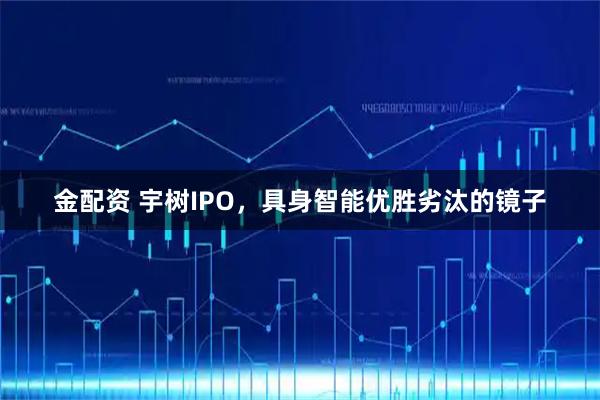 金配资 宇树IPO，具身智能优胜劣汰的镜子