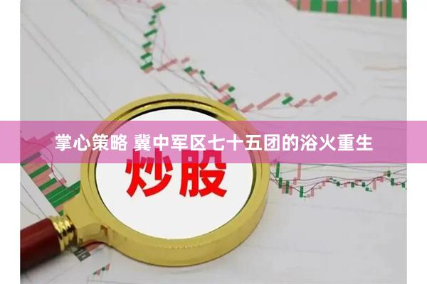 掌心策略 冀中军区七十五团的浴火重生